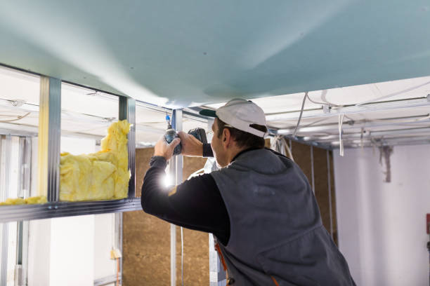 Professional Insulation Contractor in Greenville, DE