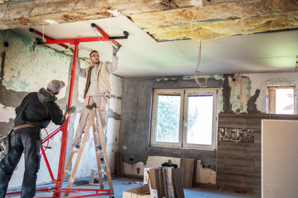 Best Insulation Maintenance and Repair in Greenville, DE