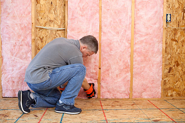 Best Cellulose Insulation in Greenville, DE